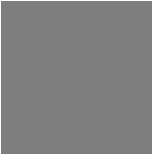 75" wide x 51" high Modern Office Partition Desk Divider - Gray & Translucent - Model SW8451-2